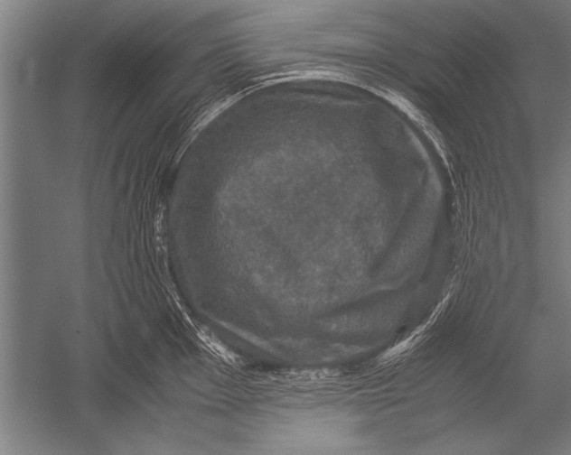 X0000051241001200507082119