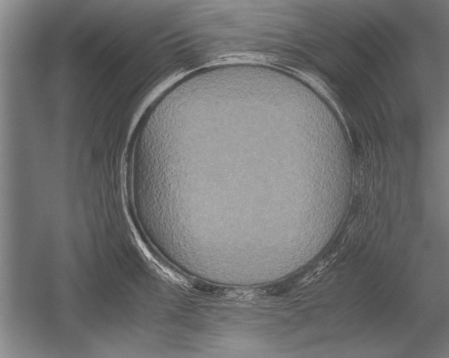 X0000051241003200507082119