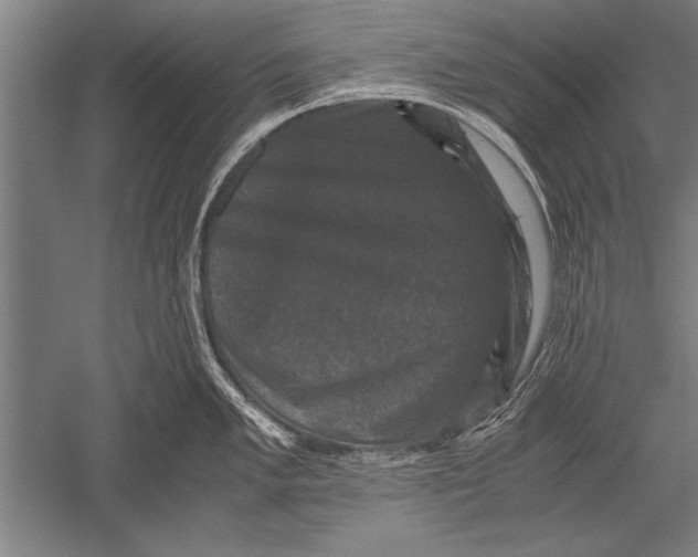 X0000051241005200507082119