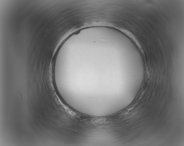 X0000051241006200507082119