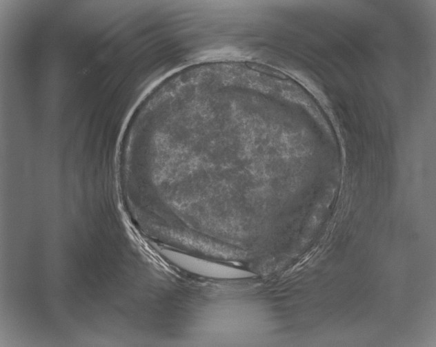 X0000051241008200507082119