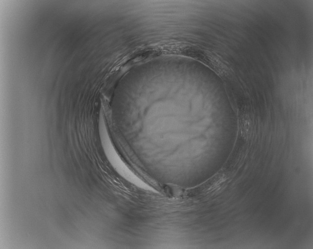 X0000051241010200507082118