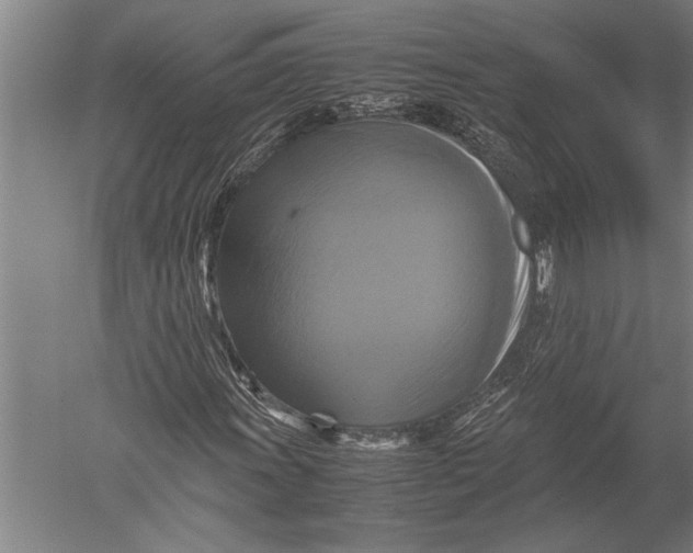 X0000051241011200507082118