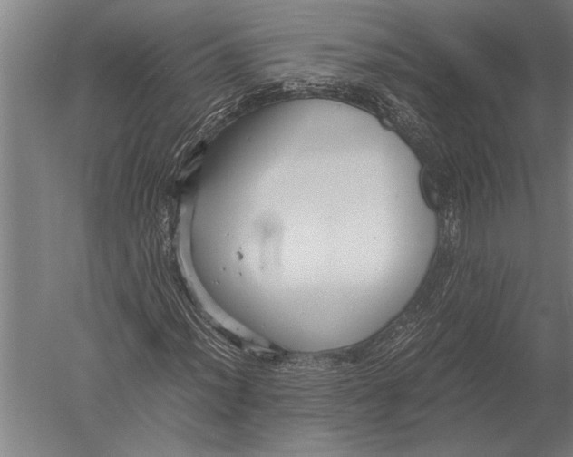 X0000051241012200507082118