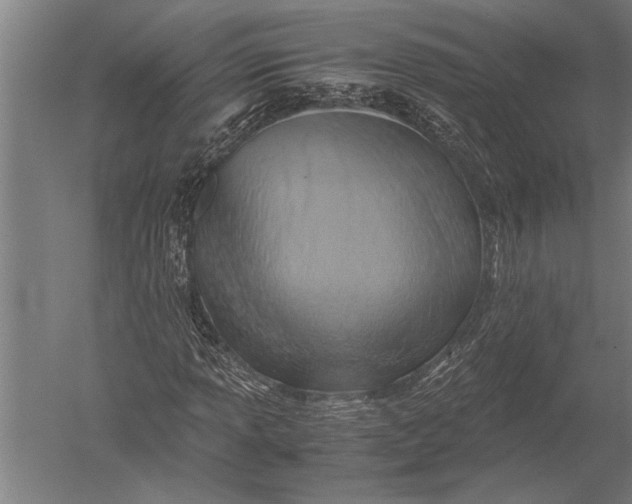 X0000051241013200507082118