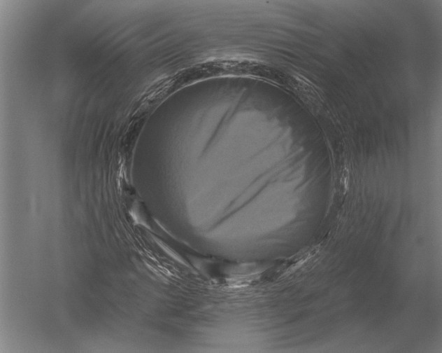 X0000051241014200507082118