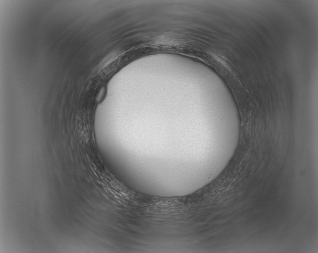 X0000051241015200507082118