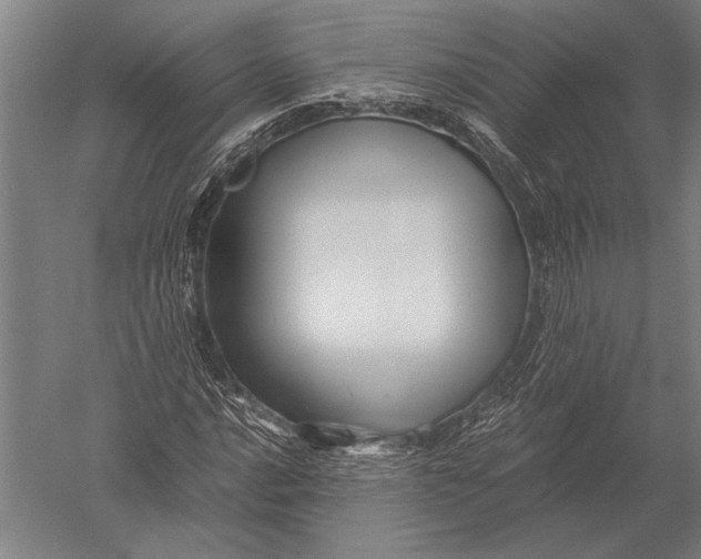 X0000051241016200507082118