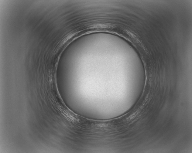 X0000051241017200507082118