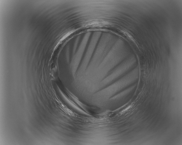 X0000051241018200507082118