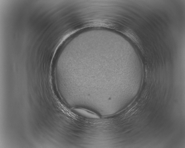 X0000051241020200507082118