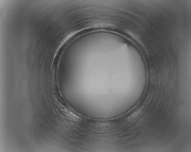 X0000051241021200507082118