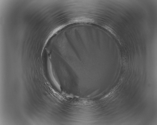 X0000051241022200507082118