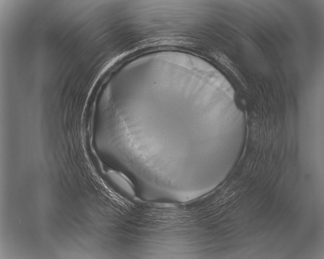 X0000051241024200507082118