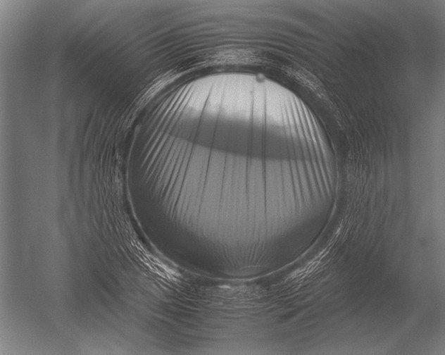 X0000051241025200507082118