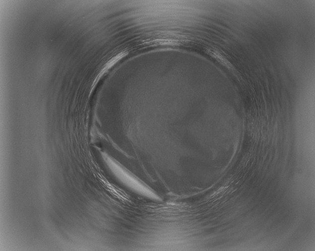 X0000051241026200507082119