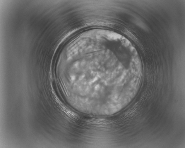 X0000051241028200507082119