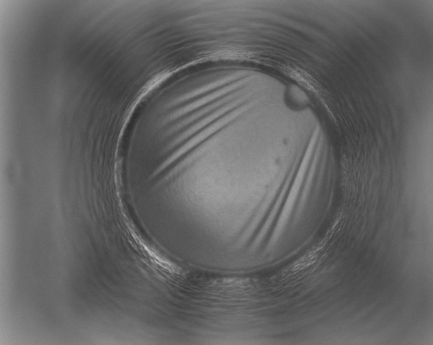 X0000051241029200507082119