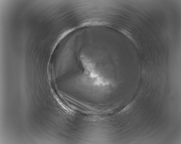 X0000051241030200507082119