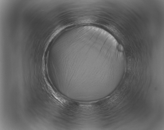 X0000051241031200507082119