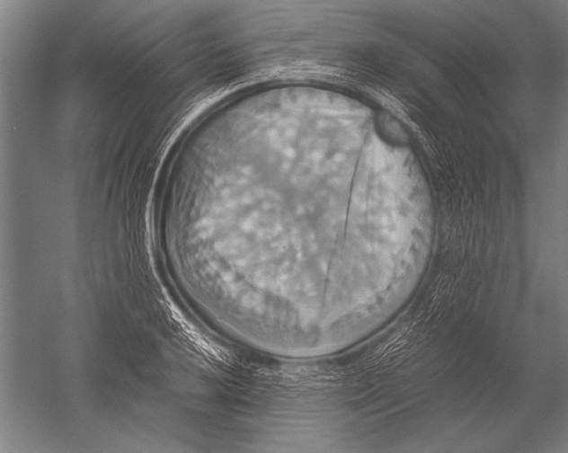 X0000051241032200507082119