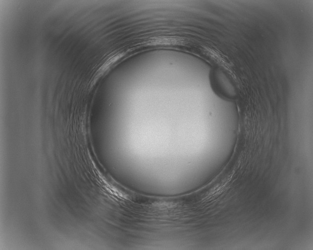 X0000051241033200507082119