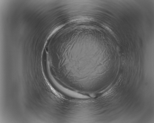 X0000051241034200507082119