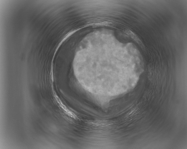 X0000051241036200507082119