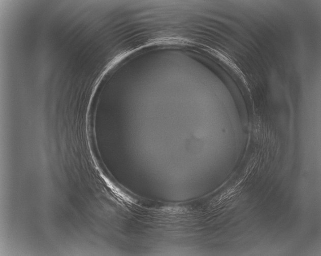 X0000051241037200507082119