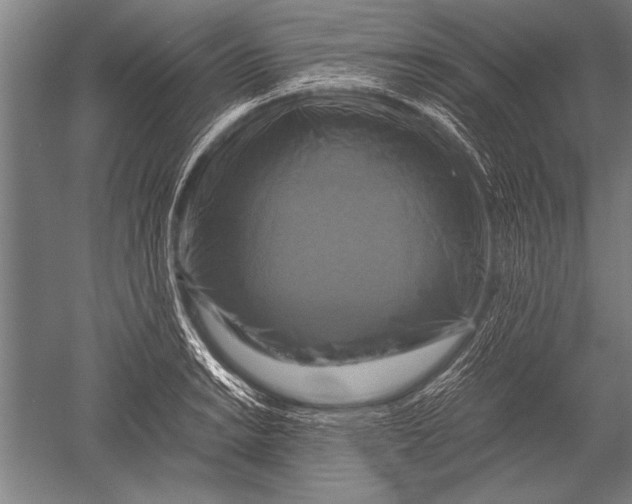 X0000051241038200507082119