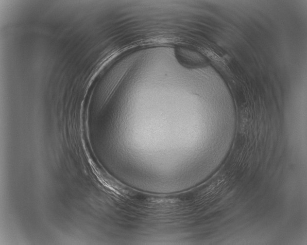 X0000051241039200507082119