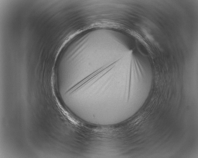 X0000051241040200507082119