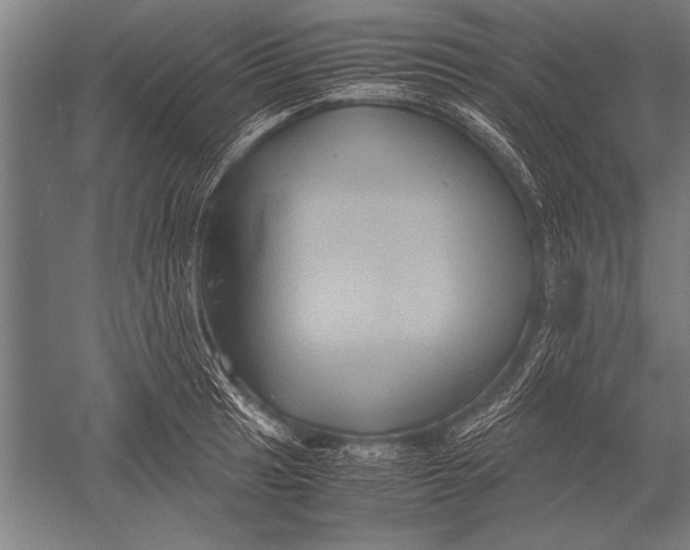 X0000051241041200507082119