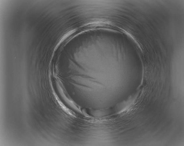 X0000051241042200507082119