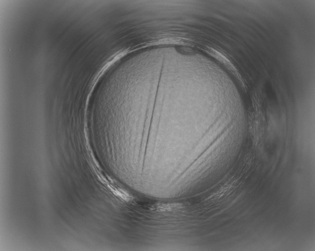 X0000051241043200507082119