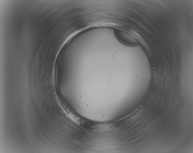 X0000051241044200507082119