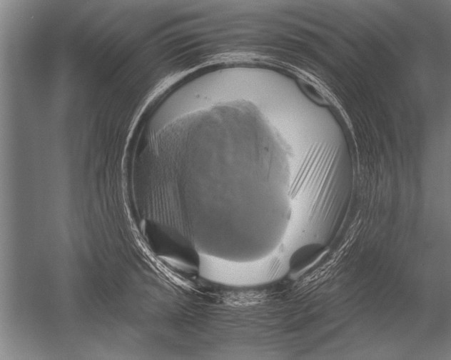 X0000051241045200507082119