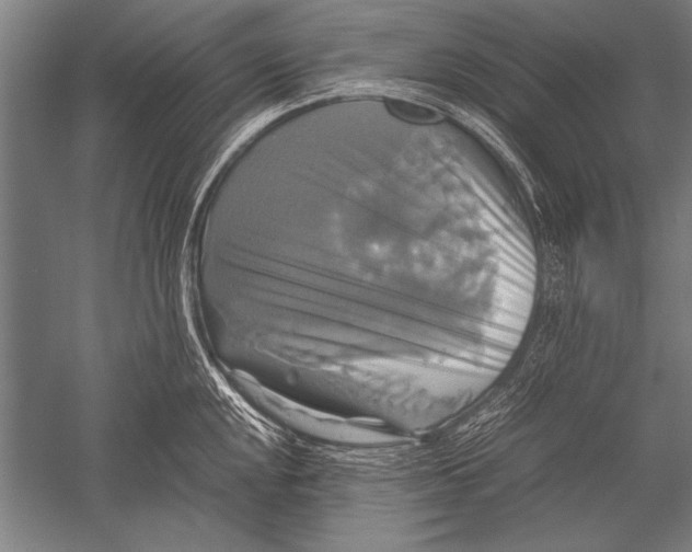 X0000051241048200507082119