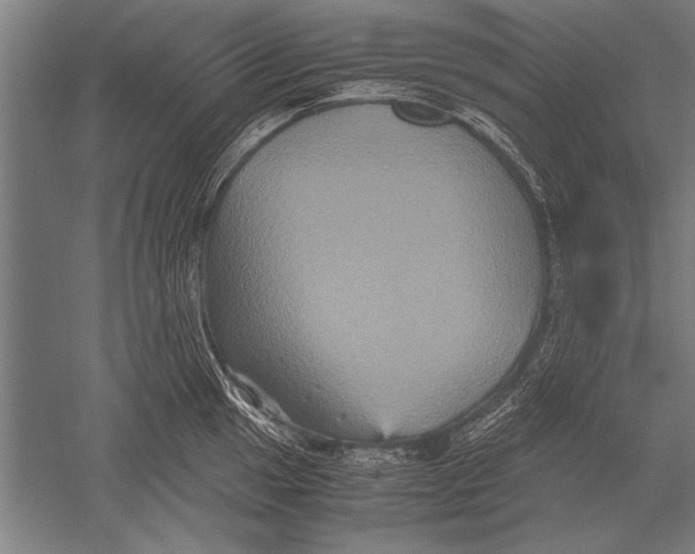 X0000051241049200507082119