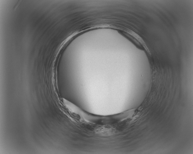 X0000051241051200507082119