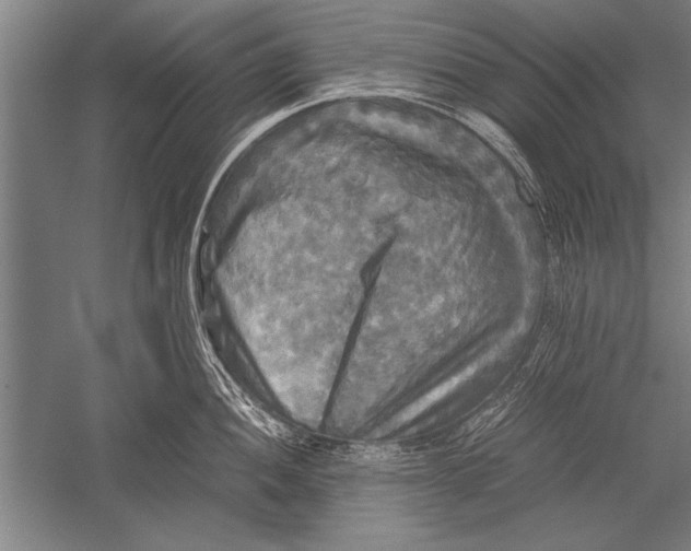 X0000051241052200507082119