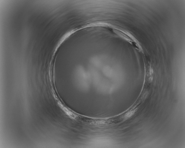 X0000051241054200507082119