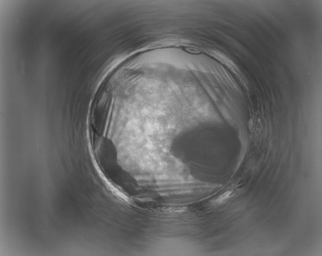 X0000051241055200507082119