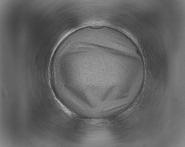 X0000051241056200507082119