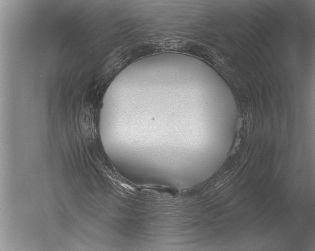 X0000051241058200507082118