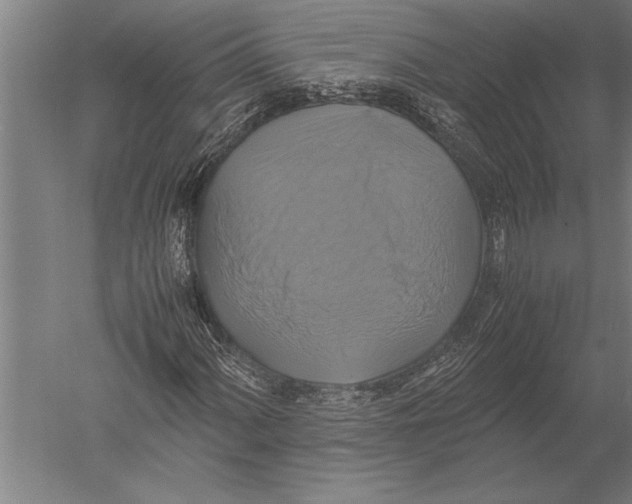 X0000051241060200507082118