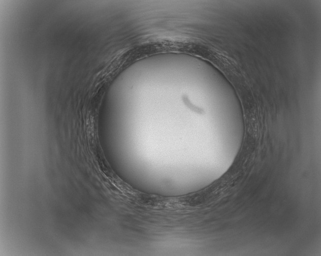 X0000051241061200507082118