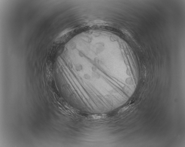 X0000051241063200507082118