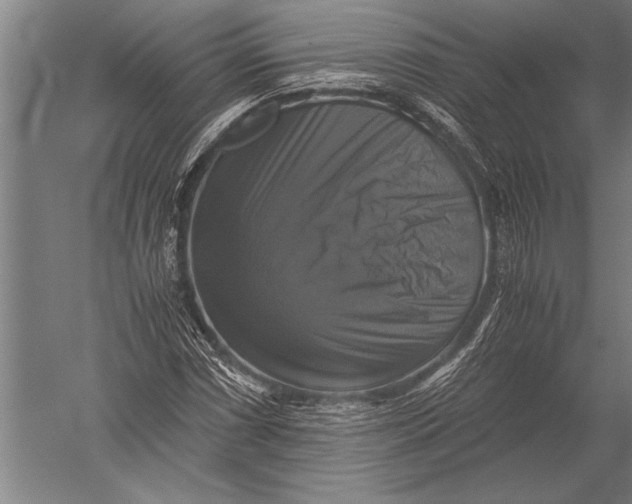 X0000051241066200507082118