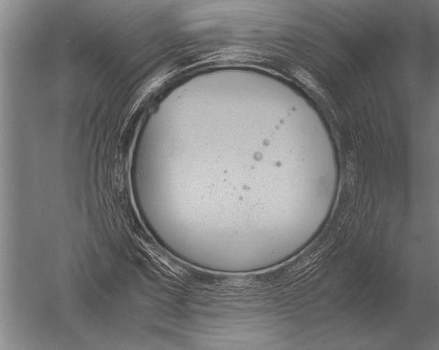 X0000051241067200507082118